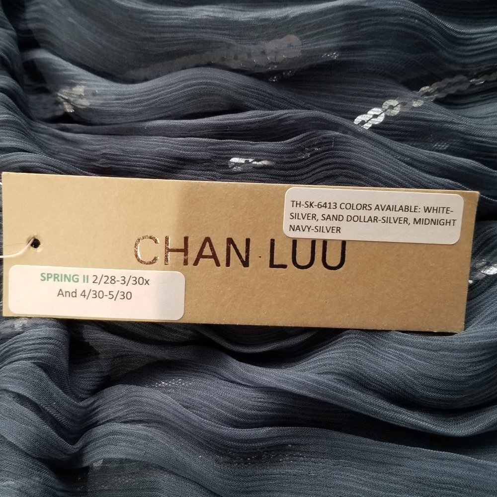 Chan Luu Slate Blue Sheer Maxi Skirt with Sequin Strips - Picture 5 of 11